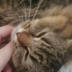 Meet your Posher, Cait